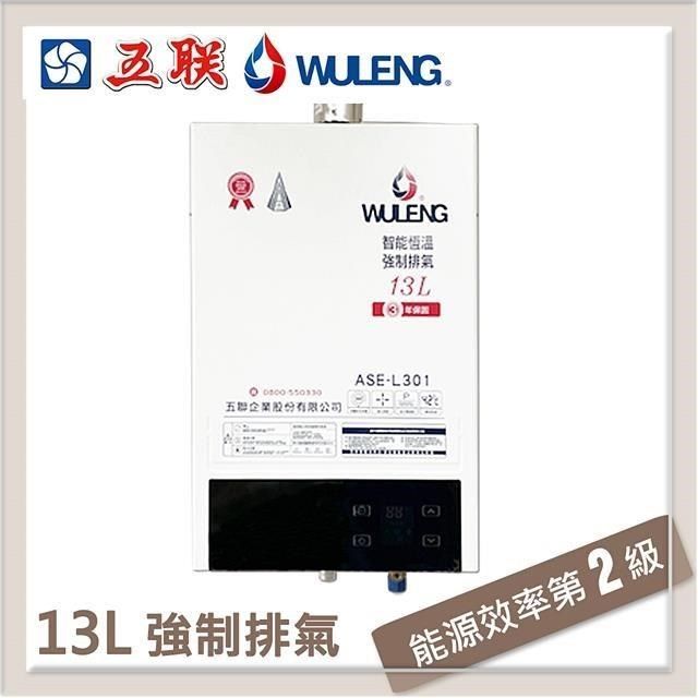 五聯 【南紡購物中心】  13L 智能恆溫強制排氣型熱水器 ASE-L301(LPG/FE式) 