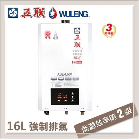 【南紡購物中心】 五聯 16L 智能恆溫強制排氣型熱水器 ASE-L601(NG1/FE式)
