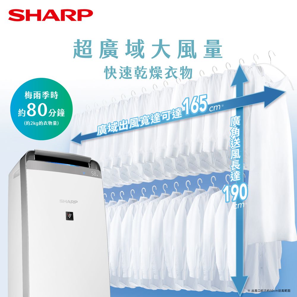 SHARP 夏普 自動除菌離子衣物乾燥抗黴除濕機 DW-K18HT-S 星耀銀