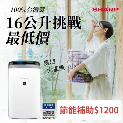 SHARP 夏普 自動除菌離子 衣物乾燥抗黴除濕機 DW-P16HT-G  湖水綠