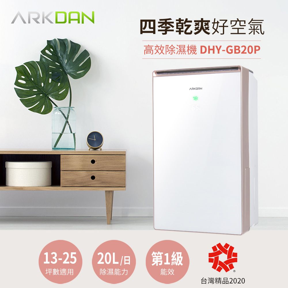 ARKDAN 阿沺  20L一級能效鏡面高效除濕機 DHY-GB20P