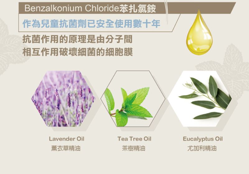 Benzalkonium Chloride苯扎氯銨作為兒童抗菌劑已安全使用數十年抗菌作用的原理是由分子間相互作用破壞細菌的細胞膜Lavender OilTea Tree OilEucalyptus Oil薰衣草精油茶樹精油尤加利精油