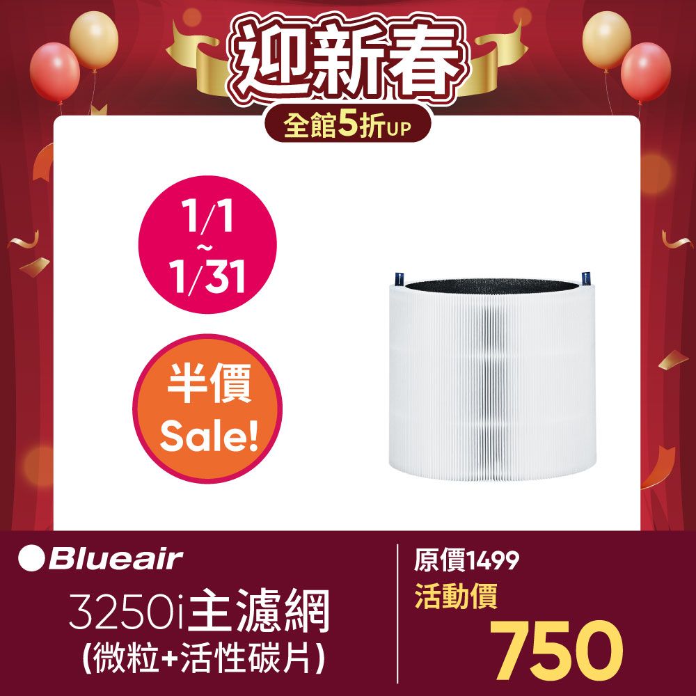 Blueair 3250i主濾網(微粒+活性碳片)