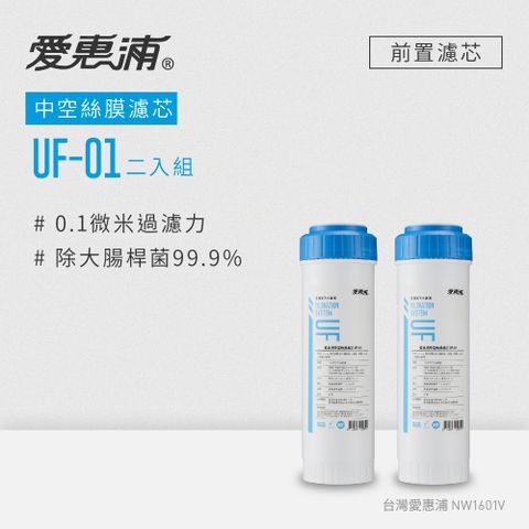 EVERPURE 愛惠浦 公規10英吋中空絲膜濾芯2支 UF-01(DIY更換)