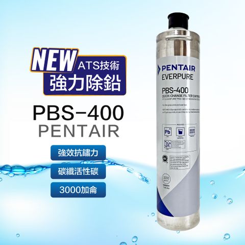 美國 Everpure PBS-400  濾芯
