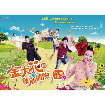 金大花的華麗冒險 DVD