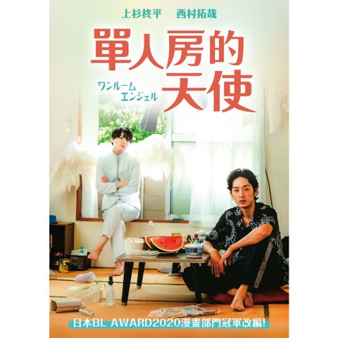 單人房的天使 DVD