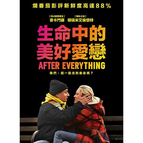 生命中的美好愛戀 DVD