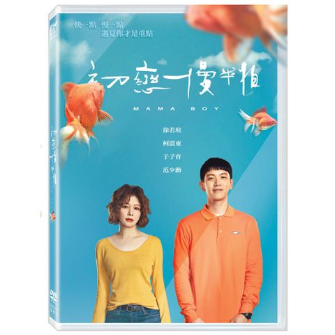 初戀慢半拍 DVD