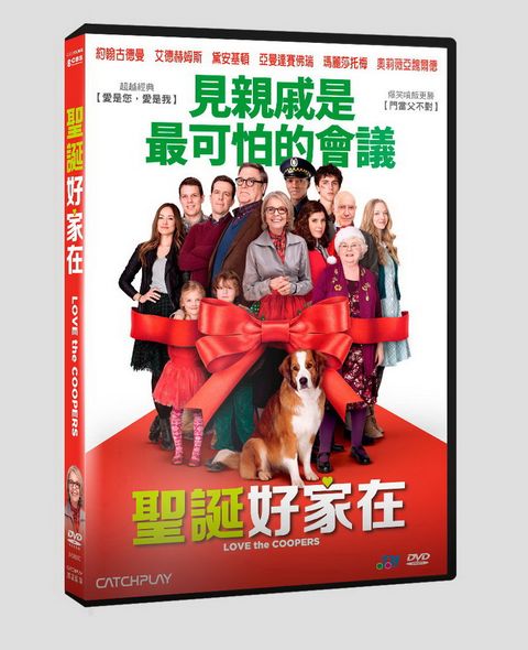 聖誕好家在 DVD