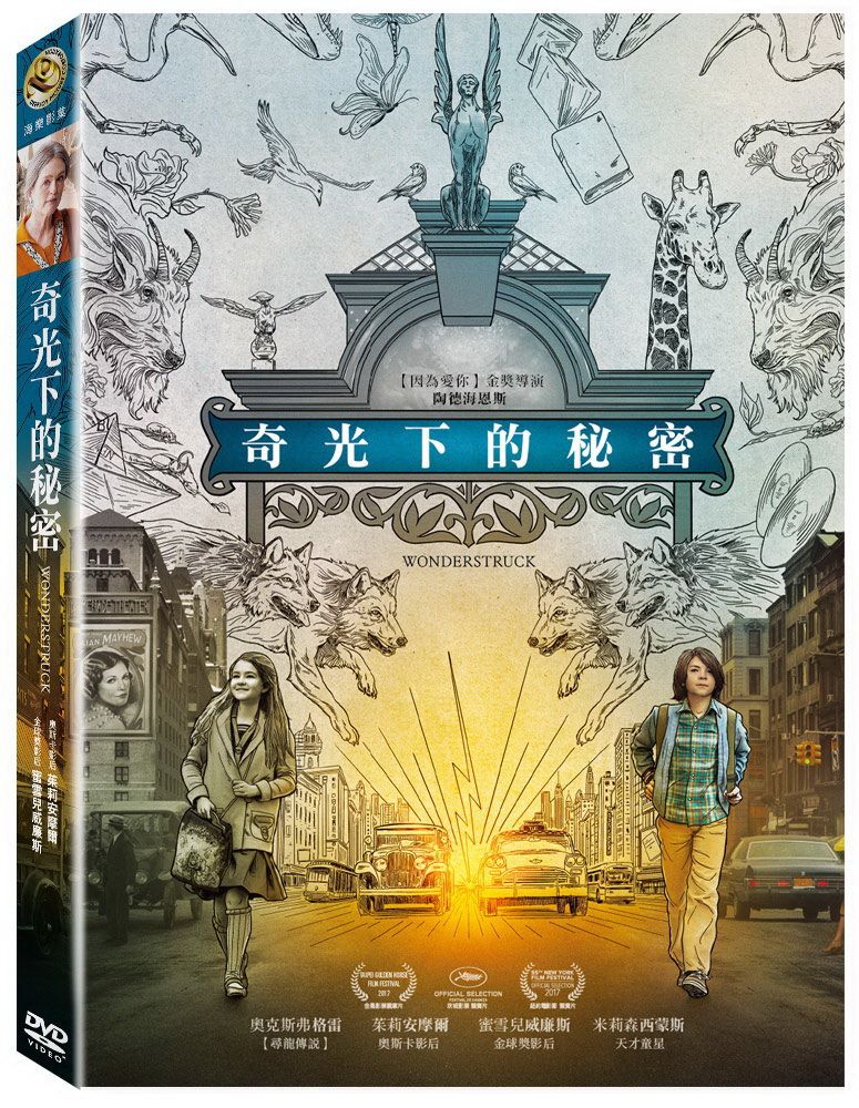  奇光下的秘密  DVD
