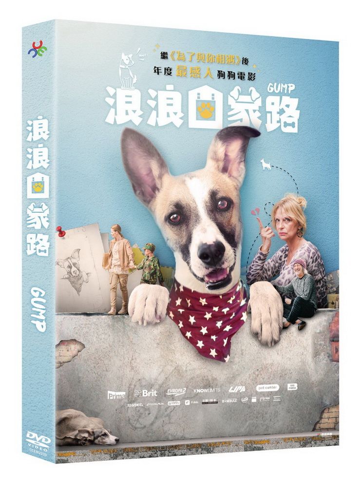 原創娛樂 浪浪回家路DVD