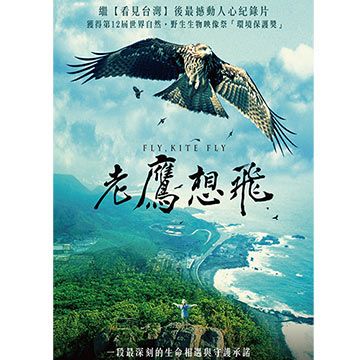 老鷹想飛 DVD