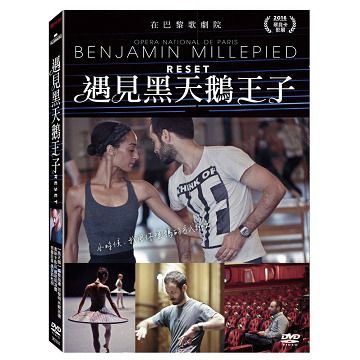 遇見黑天鵝王子 DVD