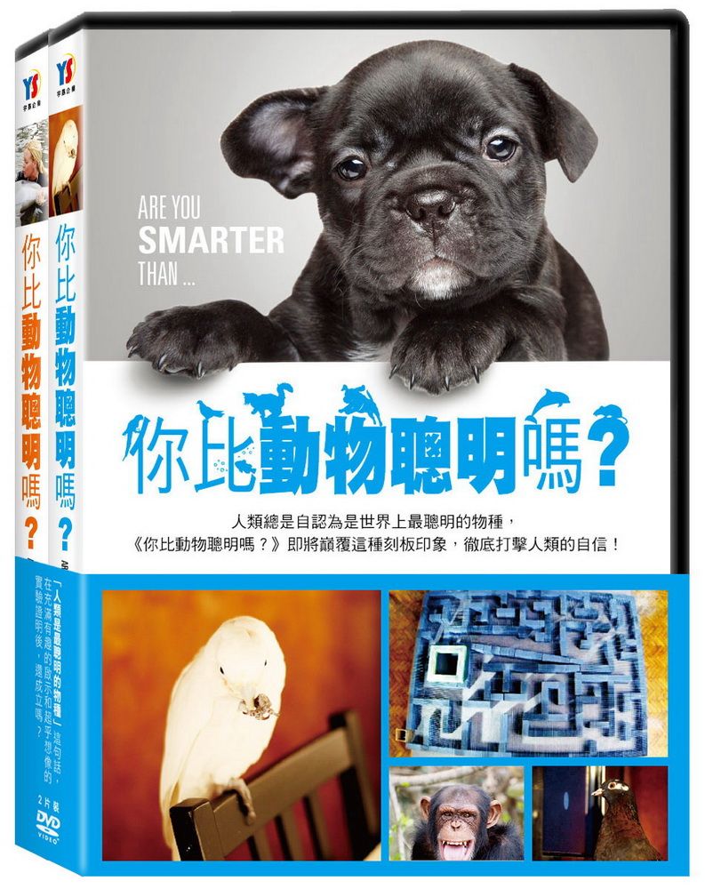  你比動物聰明嗎？ (上、下集) DVD