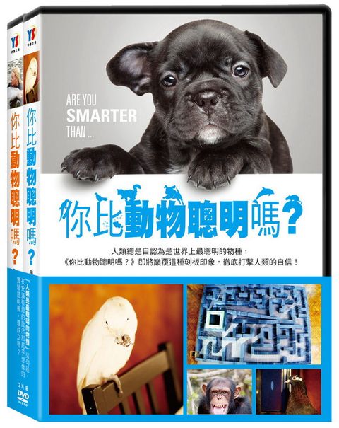 你比動物聰明嗎？ (上、下集) DVD