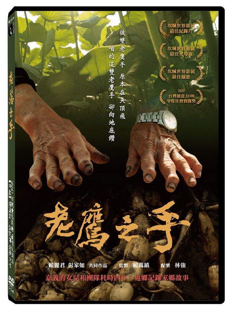  老鷹之手DVD