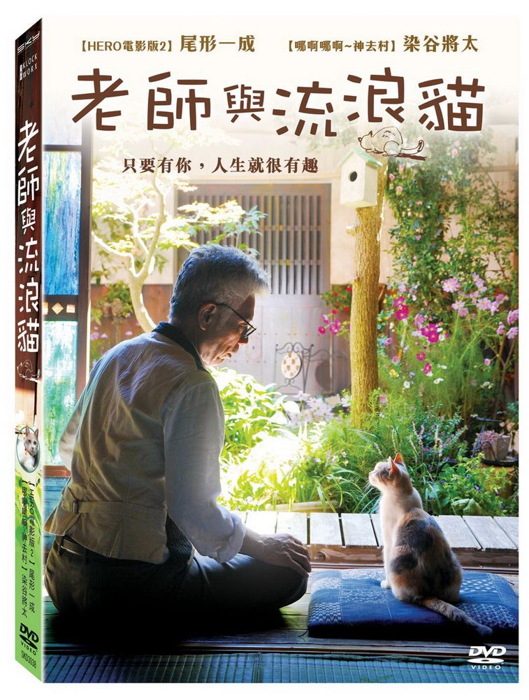  老師與流浪貓 DVD