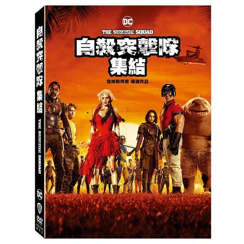 自殺突擊隊：集結  DVD