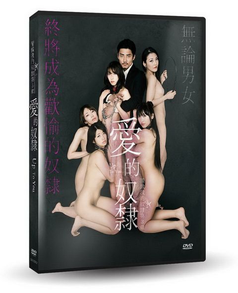 愛的奴隸 DVD