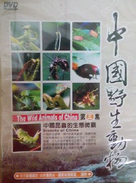  中國昆蟲生態微觀 DVD