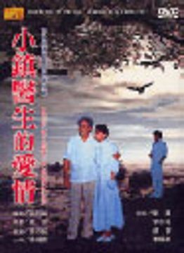  小鎮醫生的愛情  DVD