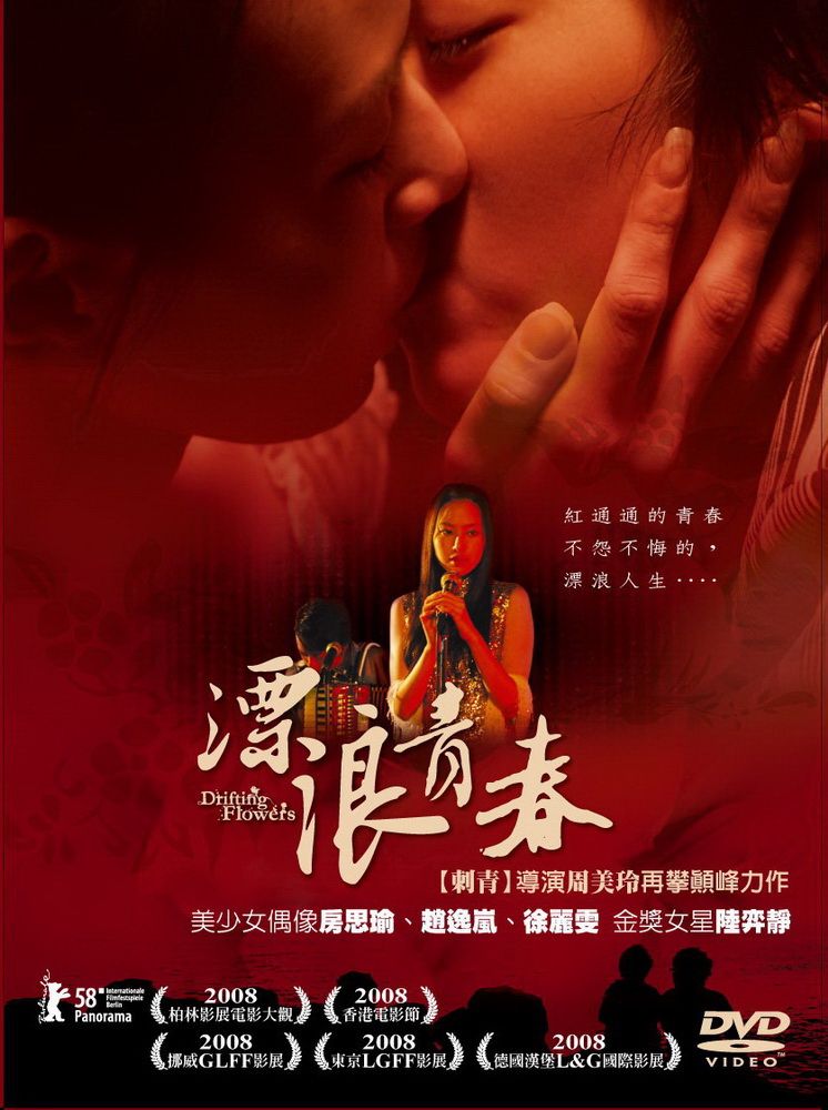  漂浪青春（單碟版）DVD