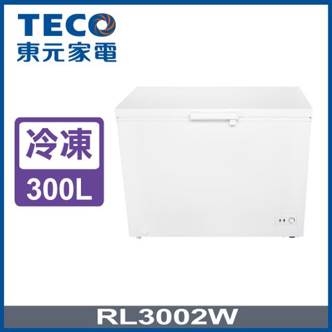 TECO 東元 300公升 上掀式臥式冷凍櫃 RL3002W