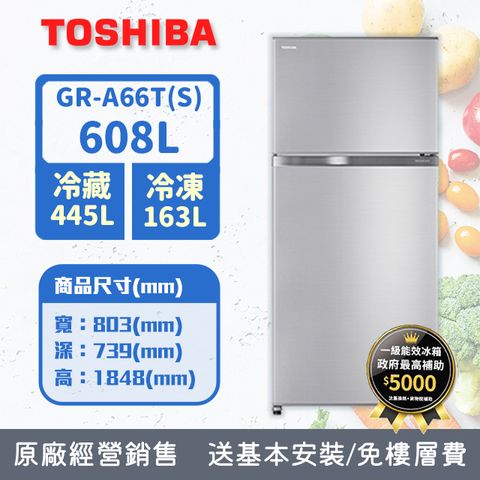 TOSHIBA東芝 608公升抗菌鮮凍變頻冰箱GR-A66T(S)(含基本安裝+舊機回收)
