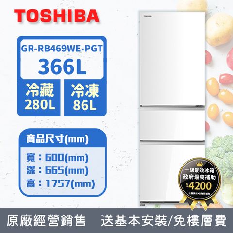 TOSHIBA東芝 366公升玻璃三門變頻冰箱 GR-RB469WE-PGT(21) (含基本安裝+舊機回收)