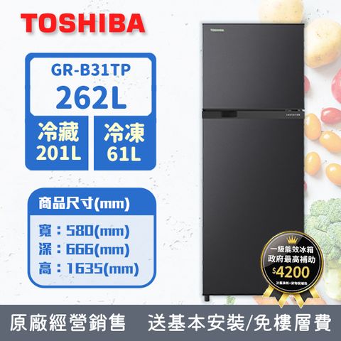TOSHIBA東芝 262公升雙門變頻電冰箱 銀河灰 GR-B31TP(SK)(含基本安裝+舊機回收)