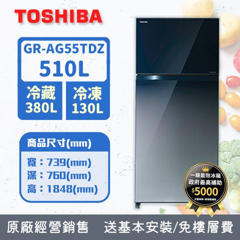 TOSHIBA 東芝 510公升雙門變頻冰箱GR-AG55TDZ(GG)(漸層藍)