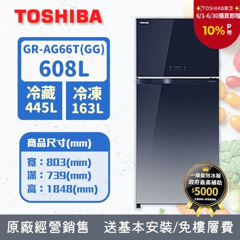 TOSHIBA東芝608公升變頻雙門冰箱GR-AG66T(GG)(漸層藍)