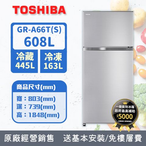 TOSHIBA 東芝 608公升抗菌鮮凍變頻冰箱GR-A66T(S)