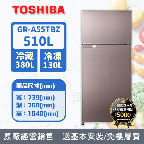 TOSHIBA 東芝 510公升雙門變頻冰箱GR-A55TBZ(N)(典雅金)