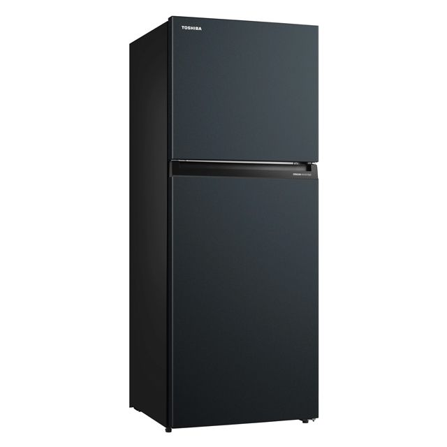 TOSHIBA 東芝 312公升雙門變頻冰箱 GR-RT312WE-PMT(52E) (星空灰)