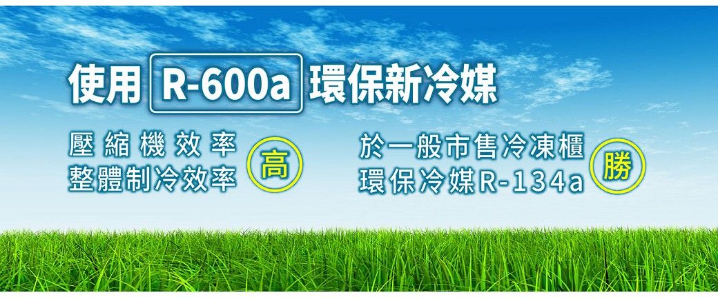 使用 R-600a環保新冷媒壓縮機效率整體制冷效率高於一般市售冷凍櫃環保冷媒R-134a勝T