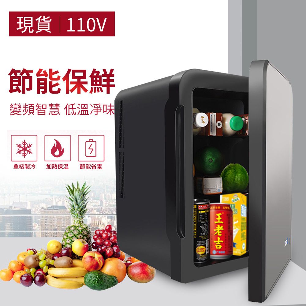  10L單核家用冰箱 車載冰箱 小型冰櫃 露營冰箱(迷你冰箱 單門小冰箱 保養品冰箱 家車兩用冰箱 節能省電)
