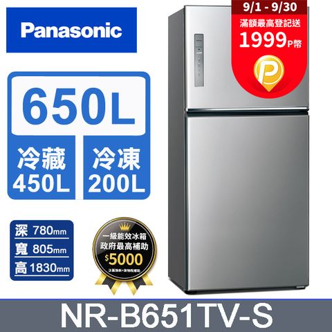 Panasonic 國際牌 無邊框鋼板650公升雙門冰箱NR-B651TV-S(晶漾銀)