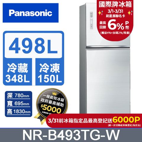 Panasonic 國際牌 498L一級能效智慧節能雙門變頻冰箱(NR-B493TG-W)