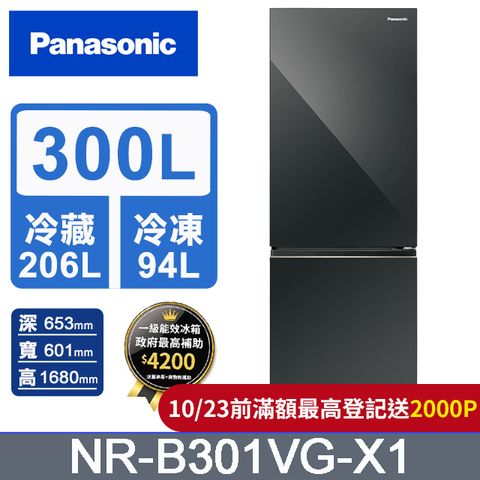 Panasonic國際牌 300公升雙門冰箱NR-B301VG-X1(鑽石黑)