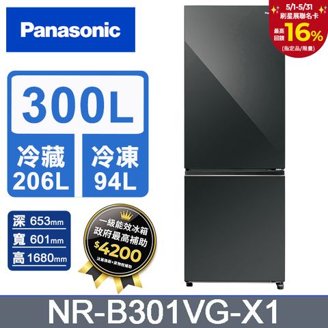 Panasonic 國際牌 300公升雙門冰箱NR-B301VG-X1(鑽石黑)