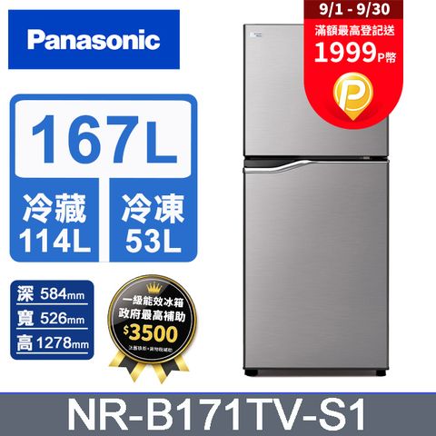 Panasonic 國際牌 ECONAVI 167公升雙門冰箱NR-B171TV-S1(晶鈦銀)