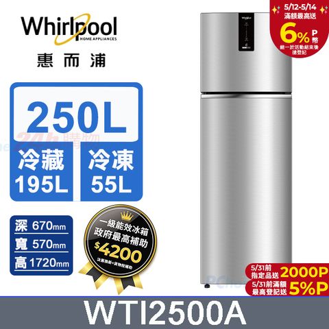 Whirlpool 惠而浦 250公升變頻雙門冰箱 WTI2500A (星空銀)