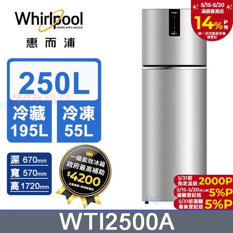 Whirlpool 惠而浦 250公升變頻雙門冰箱 WTI2500A (星空銀)