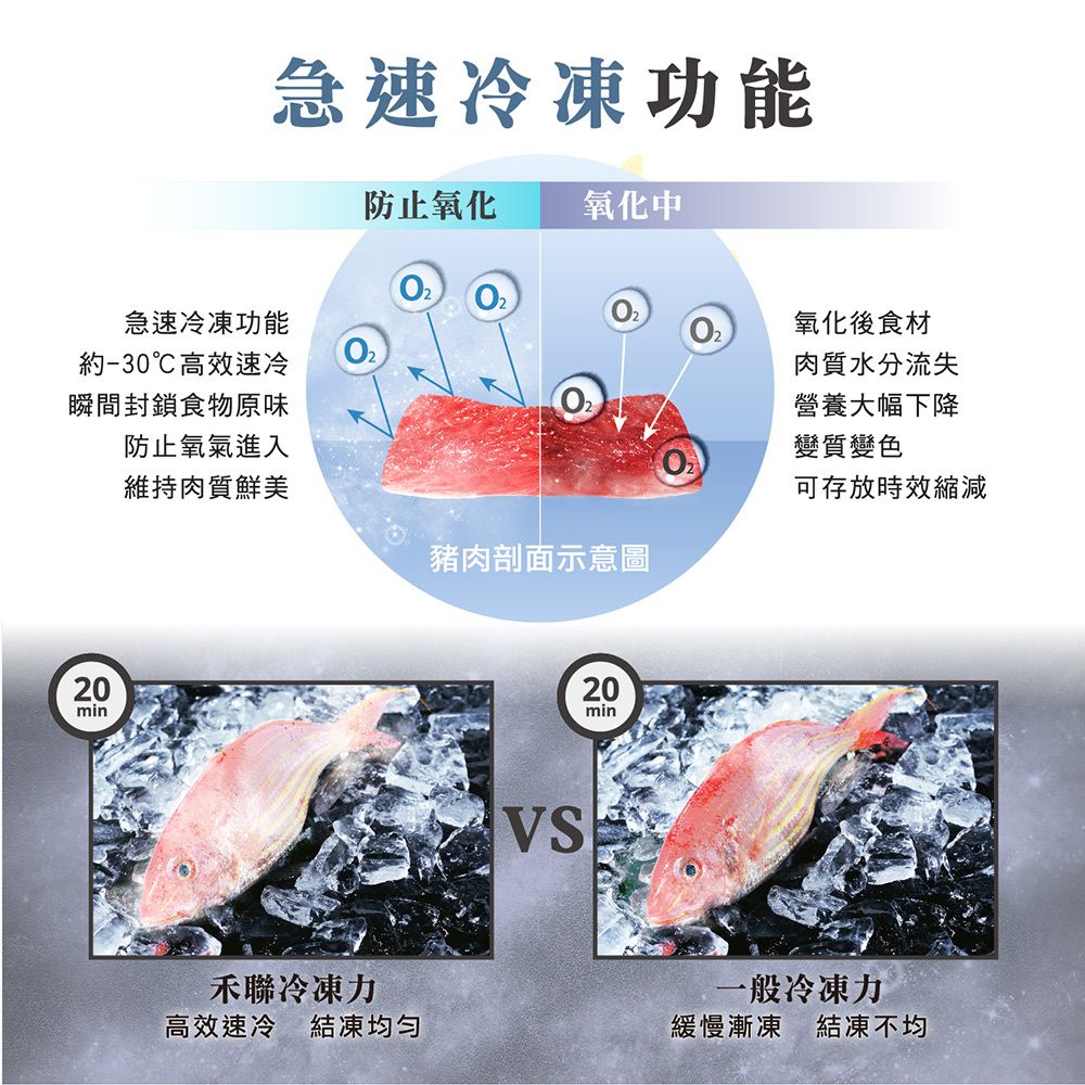 急速冷凍功能防止氧化氧化中急速冷凍功能約-30℃高效速冷瞬間封鎖食物原味防止氧氣進入氧化後食材肉質水分流失營養大幅下降變質變色維持肉質鮮美可存放時效縮減豬肉剖面示意圖20minVS20min禾聯冷凍力一般冷凍力高效速冷 結凍均匀緩慢漸凍 結凍不均