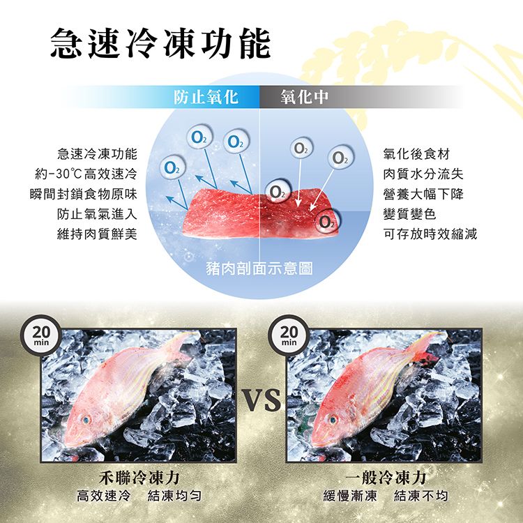 急速冷凍功能急速冷凍功能約-30℃高效速冷瞬間封鎖食物原味防止氧化氧化中氧化後食材肉質水分流失營養大幅下降防止氧氣進入變質變色維持肉質鮮美可存放時效縮減豬肉剖面示意圖2020min20min禾聯冷凍力一般冷凍力高效速冷 結凍均匀緩慢漸凍結凍不均