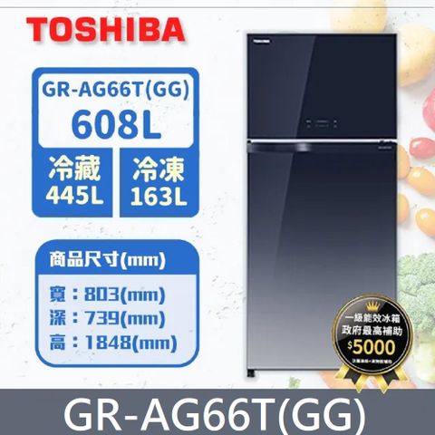 TOSHIBA 東芝 608公升 無邊框鏡面雙門變頻冰箱 GR-AG66T(GG)