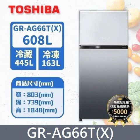 TOSHIBA 東芝 608公升 無邊框鏡面雙門變頻冰箱 GR-AG66T(X)