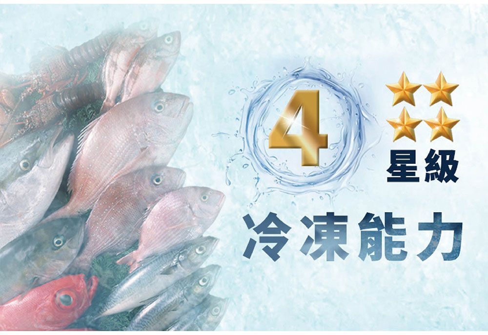 4星級冷凍能力